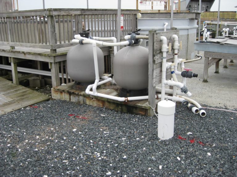 Two large water filters mounted on wooden decking beside the facilities holding tank and hatchery bins